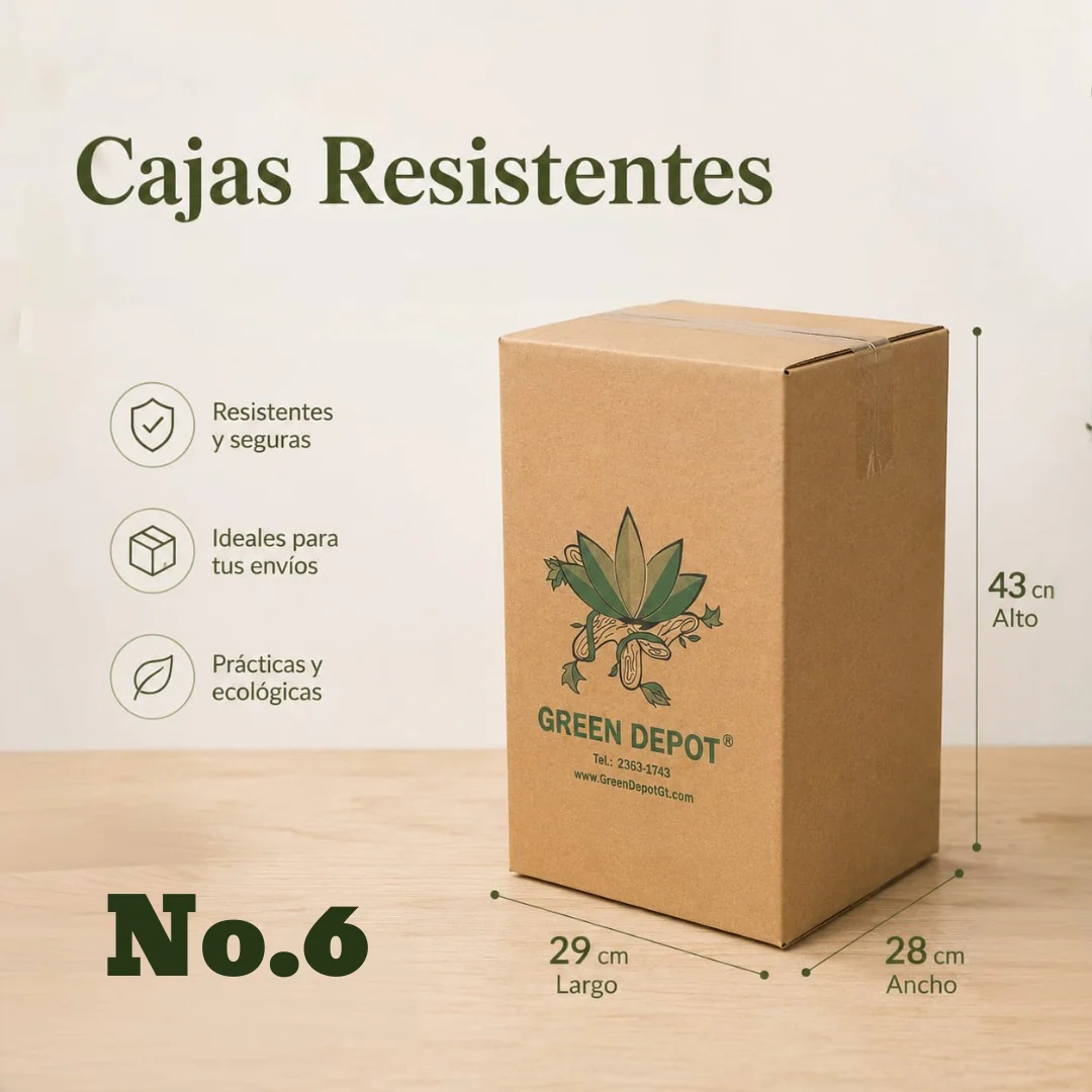 Caja de Carton N.6 - 29cm x 43cm x 28cm