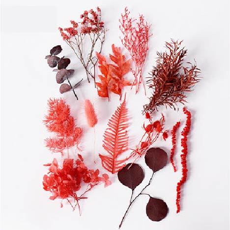 Tallos Deco - Rojo - Image 2
