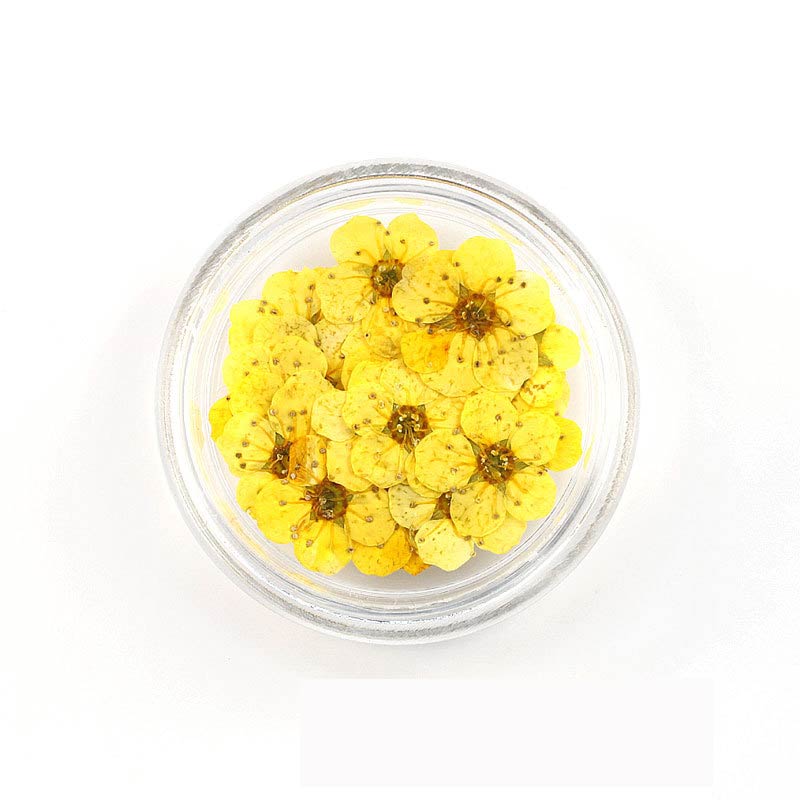 Florecitas Deco - Amarilla Oscura