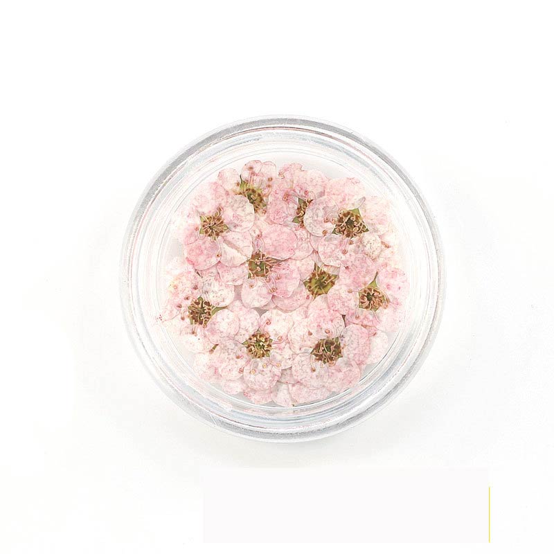 Florecitas Deco - Rosa Claro