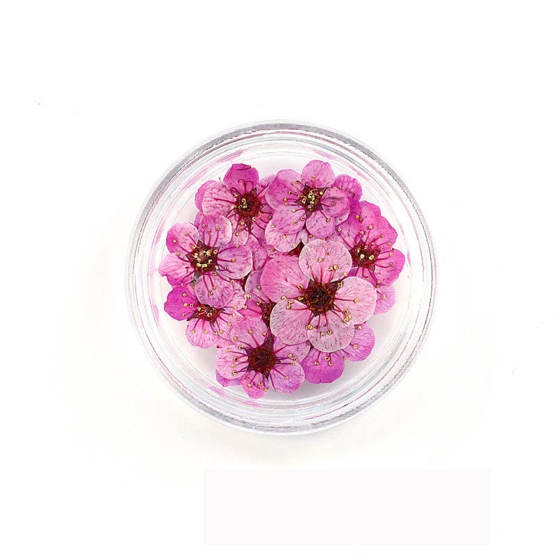 Florecitas Deco - Rosada