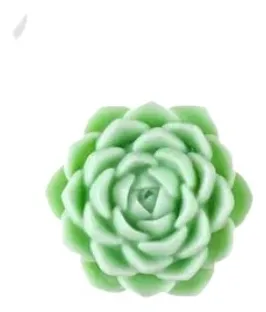Molde Flor Suculenta n. 82 - Image 2