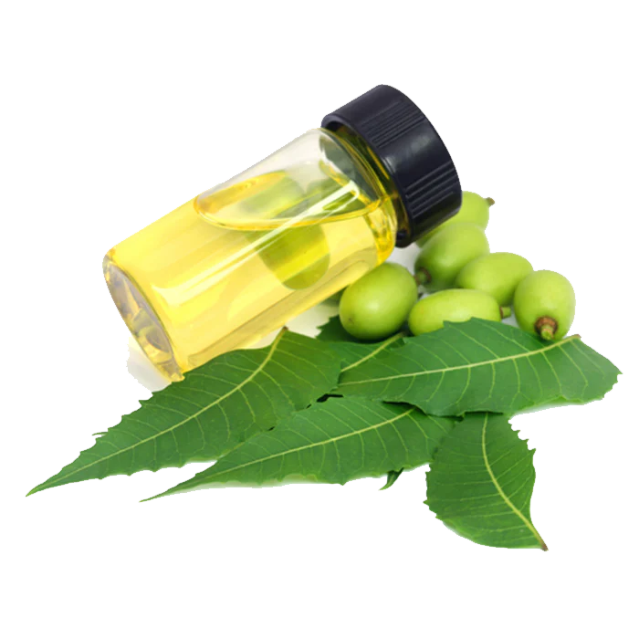 Neem - Aceite