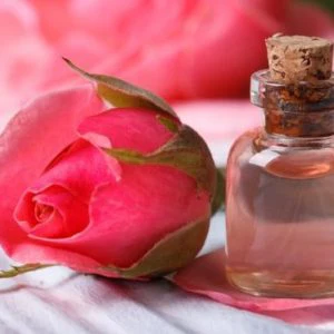 Rosas - Fragancia