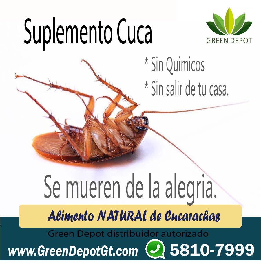 Suplemento Cuca