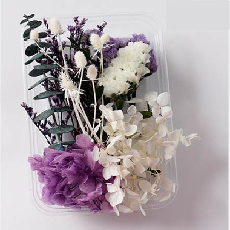 Tallos Deco - Morado
