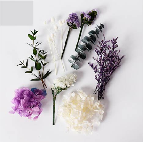 Tallos Deco - Morado - Image 2