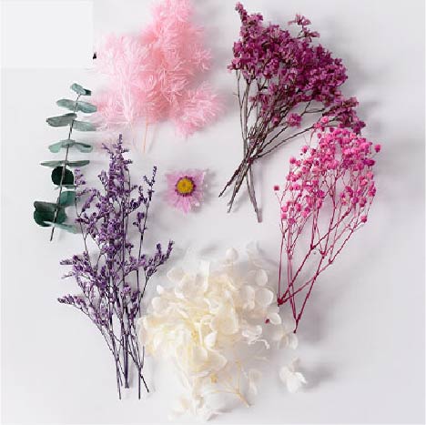 Tallos Deco - Pink - Image 2
