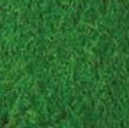 Verde Oscuro - Colorante Anilina Polvo ENG